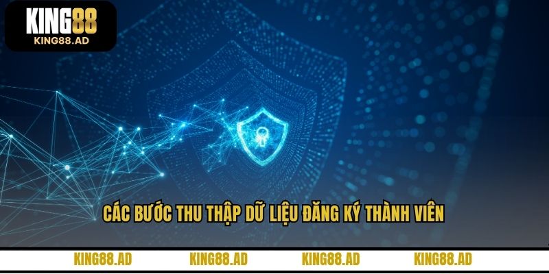 Các bước thu thập dữ liệu đăng ký thành viên