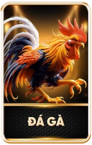 da-ga-king88