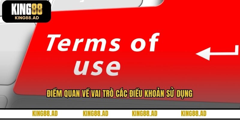 Điểm quan về vai trò các điều khoản sử dụng
