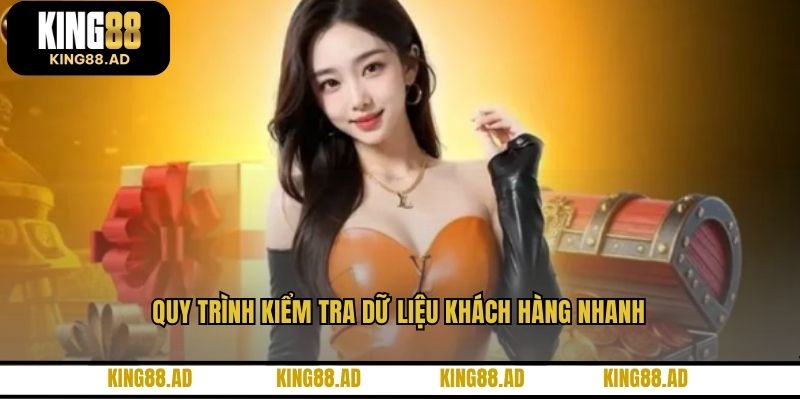 Quy trình kiểm tra dữ liệu khách hàng nhanh