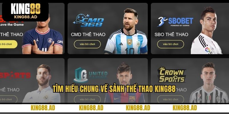 Tìm hiểu chung về sảnh thể thao KING88 Tìm hiểu chung về sảnh thể thao KING88