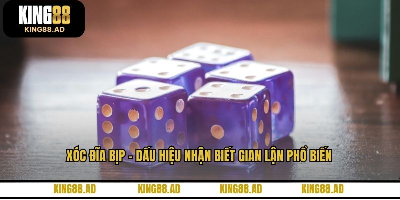 Xóc Đĩa Bịp – Dấu Hiệu Nhận Biết Gian Lận Phổ Biến